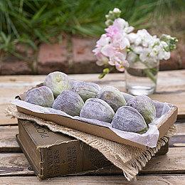 《毁灭战士：黑暗时代》光盘需要完整下载并联网